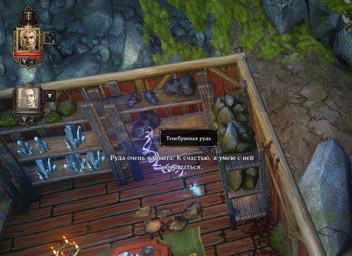 Divinity: Original Sin - Divinity:Original Sin: одинокий... викинг!